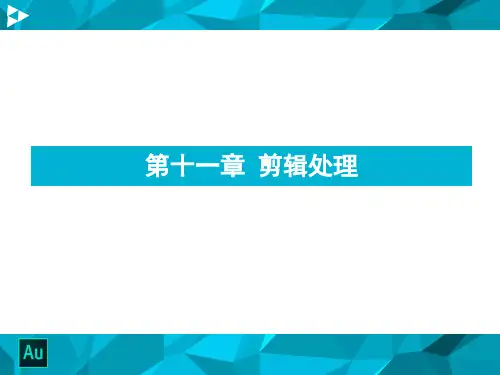 Adobe Audition第11章