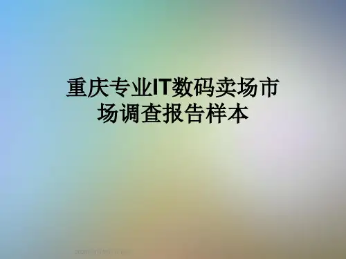 重庆专业IT数码卖场市场调查报告样本