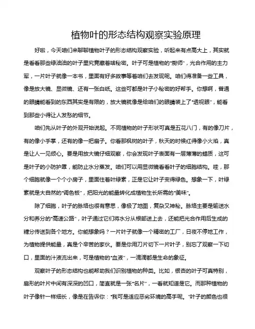 植物叶的形态结构观察实验原理