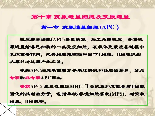 免疫学第10章抗原递呈细胞及抗原递呈课件PPT