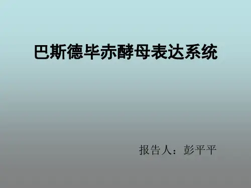 巴斯德毕赤酵母表达系统