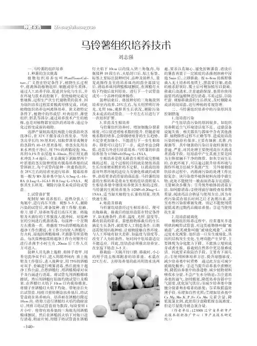 马铃薯组织培养技术