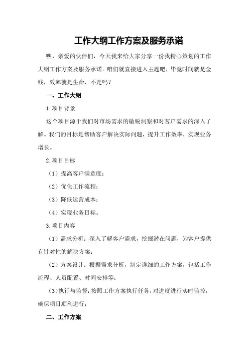 工作大纲工作方案及服务承诺