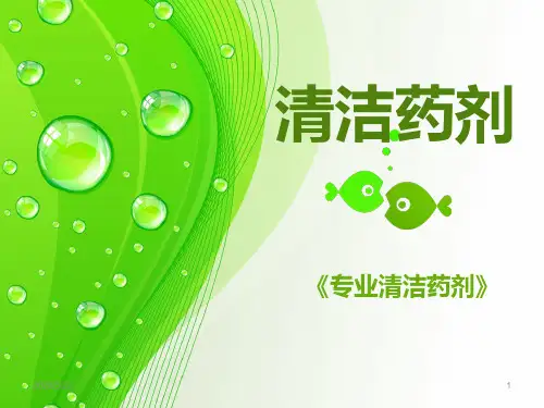 保洁常用清洁药剂培训PPT