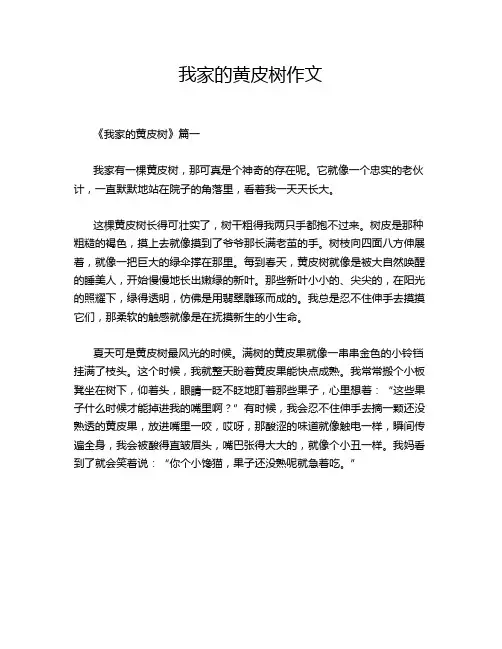 我家的黄皮树作文