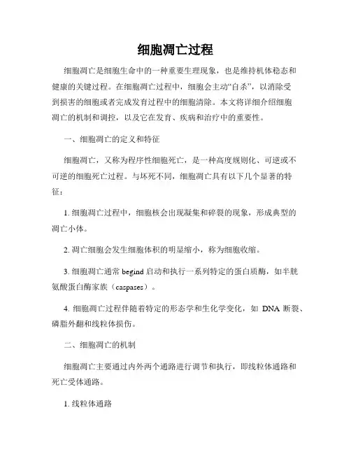 细胞凋亡过程