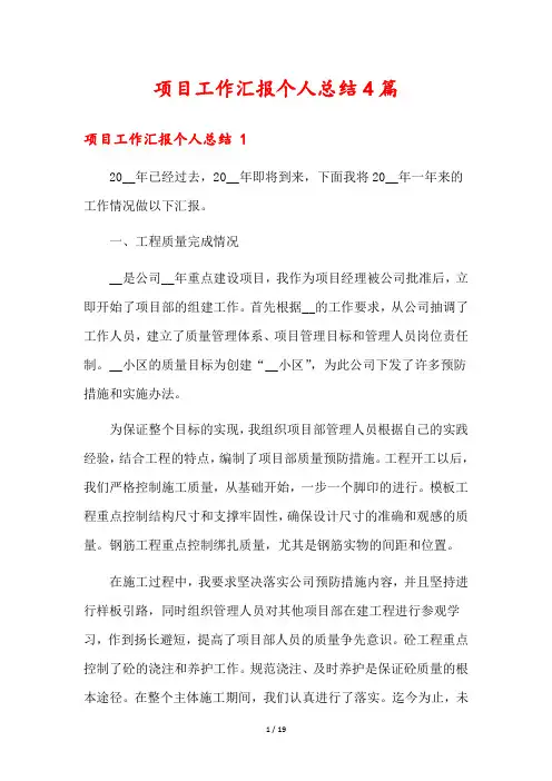 项目工作汇报个人总结4篇