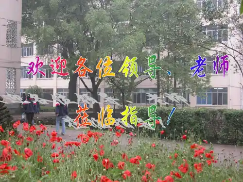 法西斯国家的扩张和反法西斯斗争的开始优选PPT课件