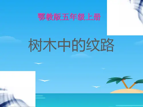 《树木中的纹路》走进树林PPT课件2[优秀课件资料]
