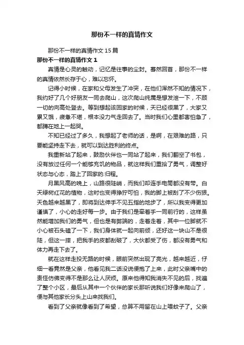 那份不一样的真情作文