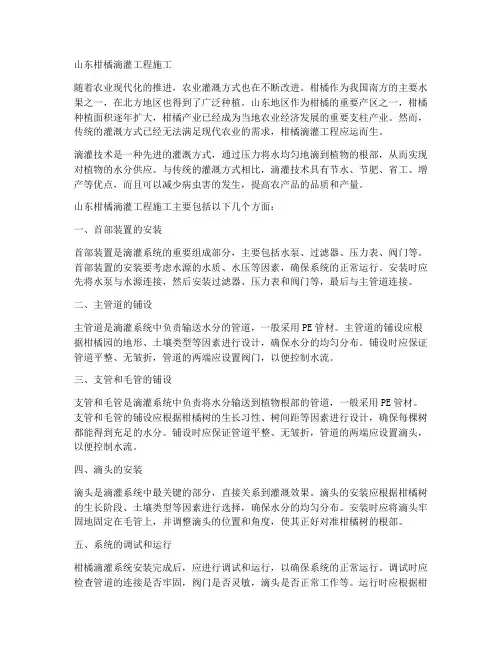 山东柑橘滴灌工程施工