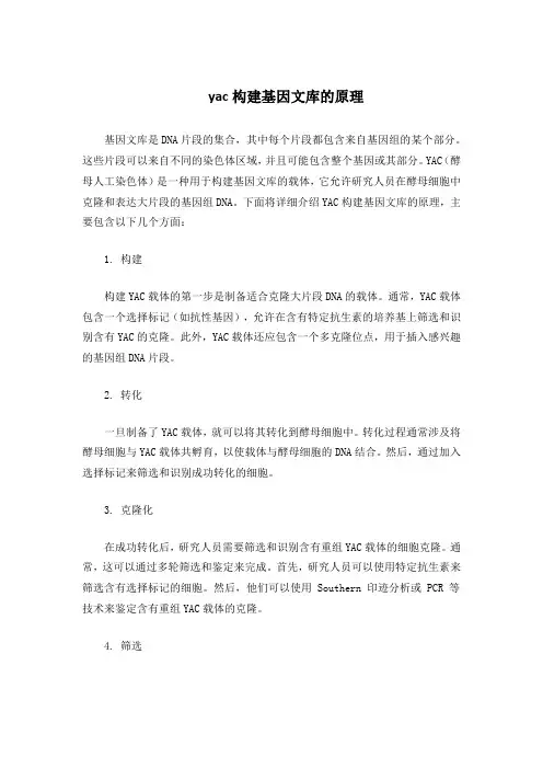 yac构建基因文库的原理