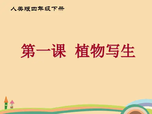 美术人美版植物写生PPT优秀课件