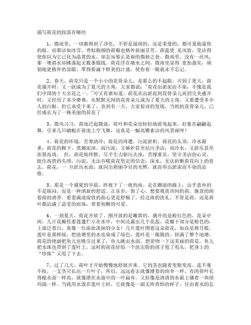 描写荷花的段落有哪些