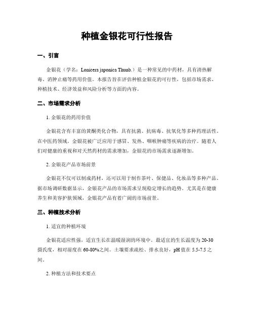 种植金银花可行性报告