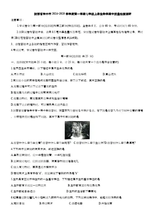 陕西省神木市2024~2025学年七年级上学期期中质量检测调生物学试题(含答案)