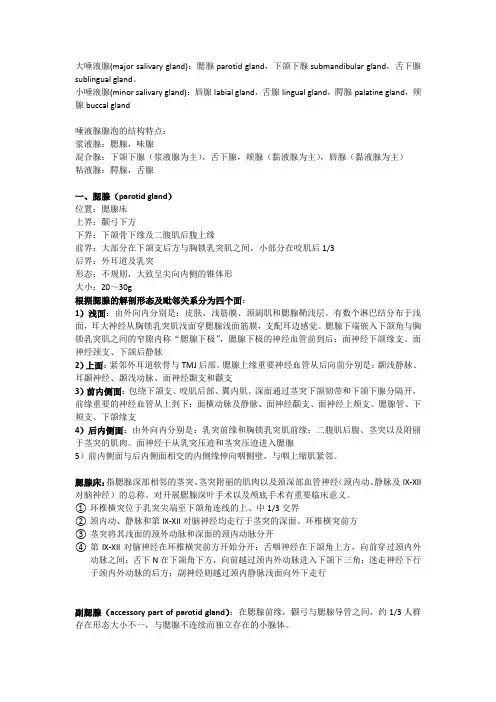 唾液腺