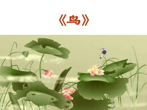 《专题：鸟》ppt
