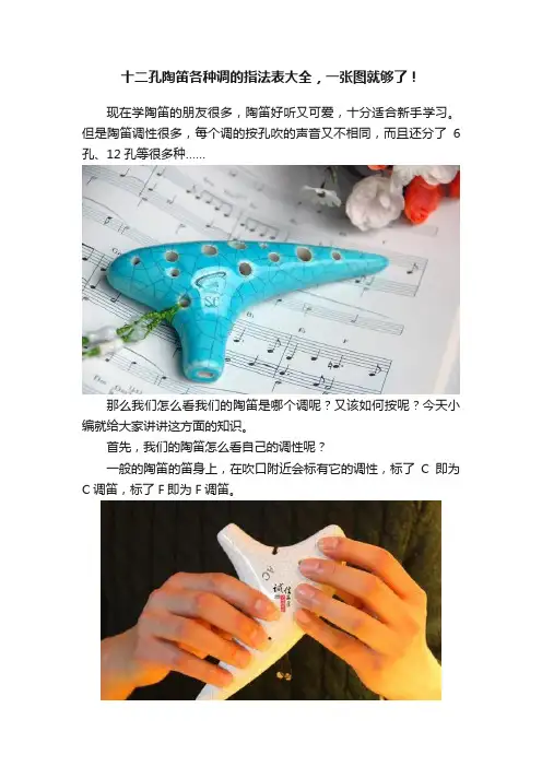 十二孔陶笛各种调的指法表大全，一张图就够了！