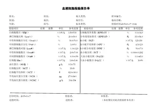 血常规报告单  模板