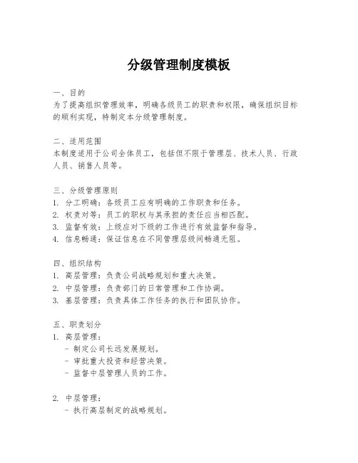 分级管理制度模板