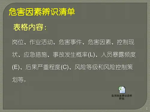 危害因素辨识清单