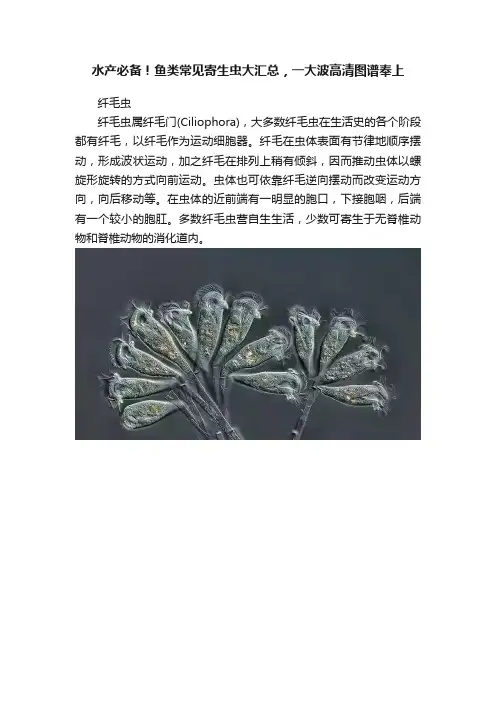 水产必备！鱼类常见寄生虫大汇总，一大波高清图谱奉上