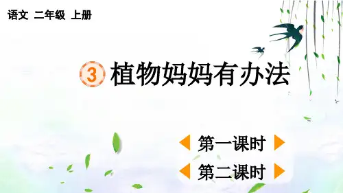 部编版二年级上册语文3 植物妈妈有办法【PPT课件设计