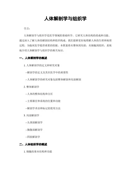 人体解剖学与组织学
