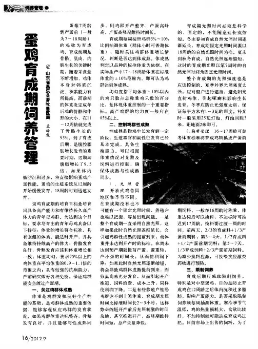 蛋鸡育成期饲养管理