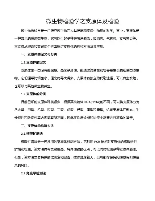 微生物检验学之支原体及检验