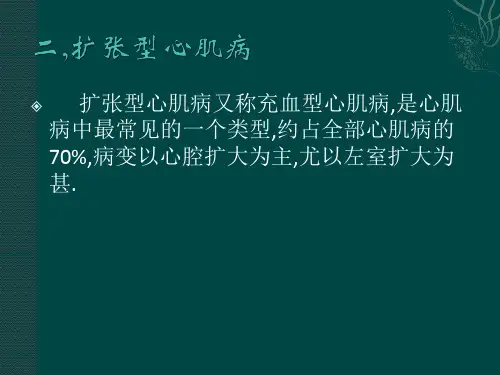 心脏疾病的超声诊断-(2)
