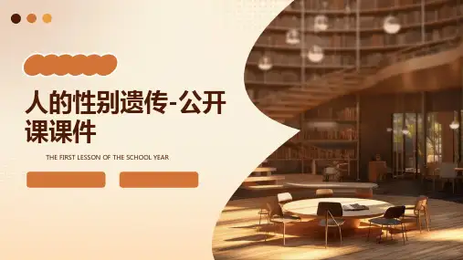 人的性别遗传-公开课课件