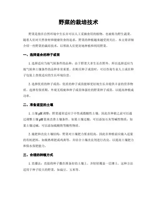 野菜的栽培技术