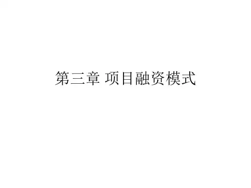 第三章 项目融资模式