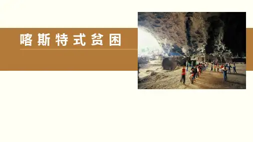 2024届高考复习资料+喀斯特式贫困
