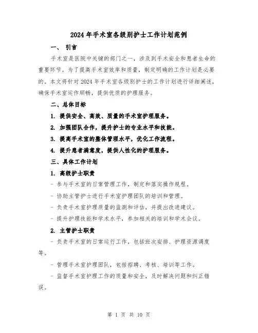 2024年手术室各级别护士工作计划范例(三篇)