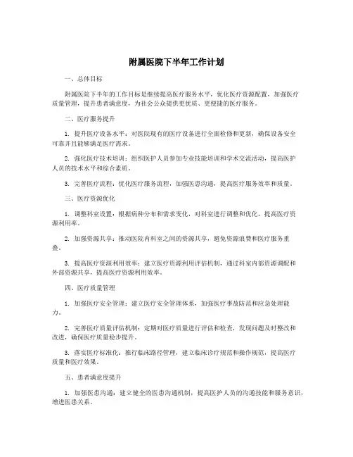 附属医院下半年工作计划