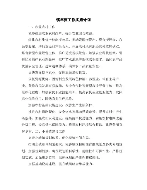 镇年度工作实施计划