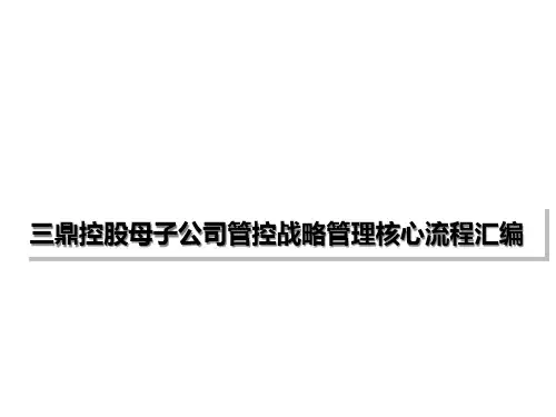 三鼎控股母子公司管控战略管理核心流程汇编