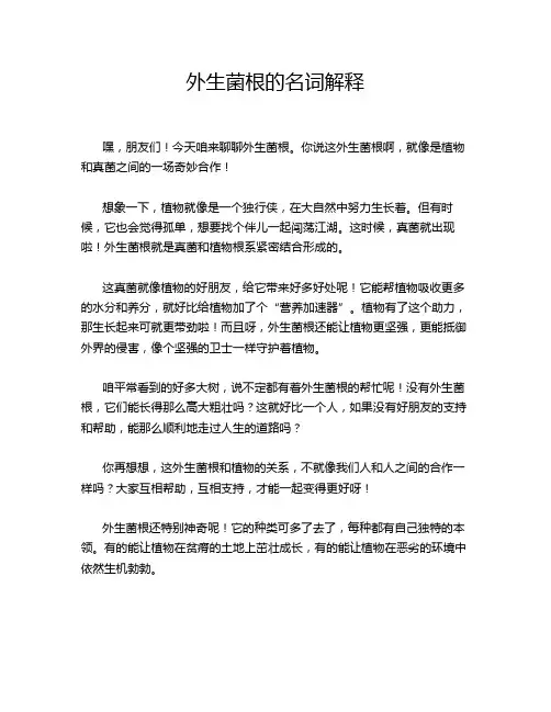 外生菌根的名词解释