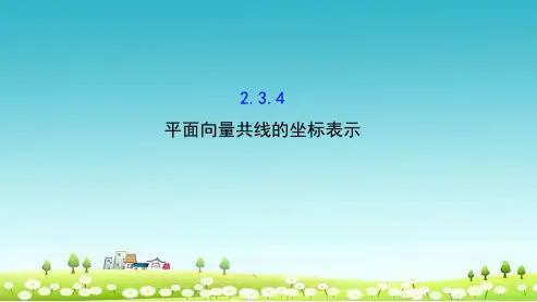 新人教版必修四高中数学精讲优练课型第二章平面向量2.3.4平面向量共线的坐标表示课件