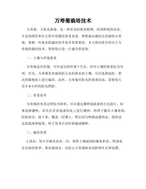 万寿菊栽培技术