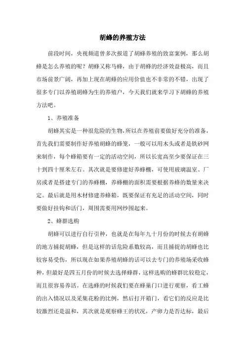 胡蜂的养殖方法