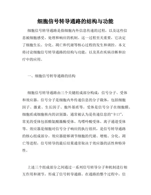 细胞信号转导通路的结构与功能