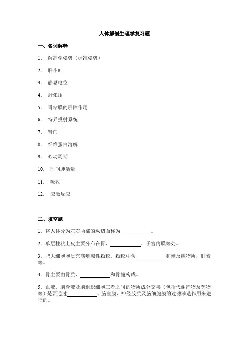 人体解剖生理学复习资料