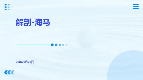 (医学课件)解剖-海马