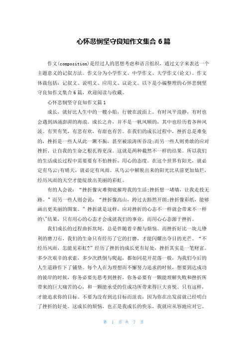 心怀悲悯坚守良知作文集合6篇