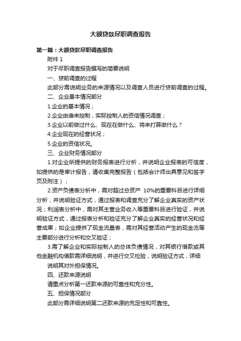 大额贷款尽职调查报告