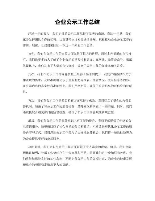 企业公示工作总结